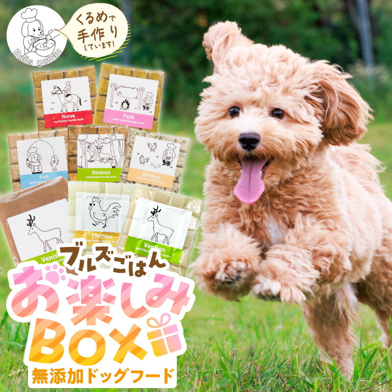 【ふるさと納税】無添加ドッグフード 詰合せセット ブルズごはんお楽しみBOX CUBE型 5袋×300g 20個入 馬肉 豚肉 鹿肉 鶏肉 魚 各1袋 鹿テリーヌ 80g 3P ボーンブロススープ 300g 2P 各20個 国産 手作り アレルギー ウェット 子犬 シニア 冷凍 老犬 小型犬 お試し ペット