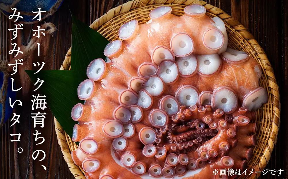 浜頓別町プレミアム　タコ三選（タコ柔らか煮・タコバジル・タコザンギ）【株式会社シーグレイセス】