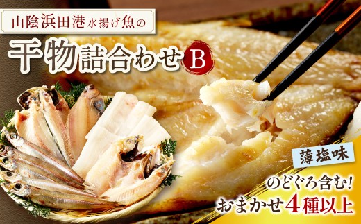 浜田港水揚げ魚の薄塩味干物B（のどぐろを含む） 魚介類 魚貝類 薄塩味 干物 干もの 一夜干し セット 人気 お取り寄せ アカムツ 【019_1946】