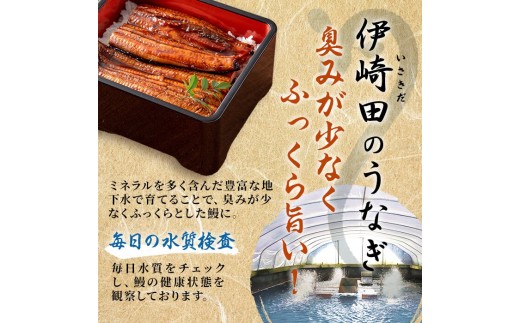 【丑の日までに配送】鹿児島県産 伊崎田のうなぎ蒲焼刻みうなぎ 50g×20袋(計1kg) 鰻 うなぎ ウナギ きざみ鰻 刻みうなぎ 刻み鰻 蒲焼き かばやき 国産 九州産 鹿児島県産 冷凍 レンジ 簡
