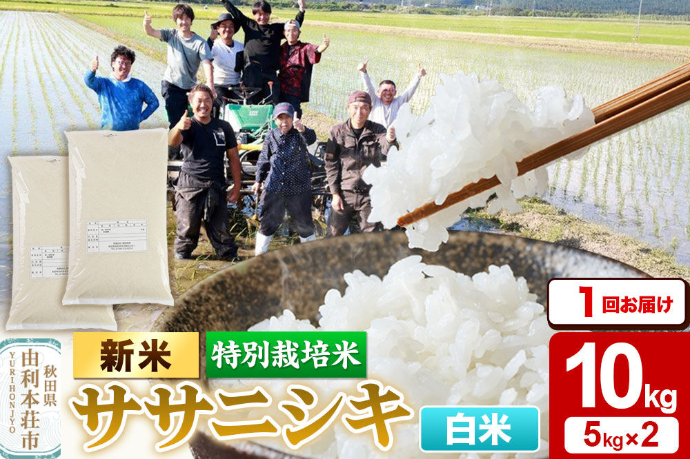 《令和8年産 新米》【白米】特別栽培米 ササニシキ 10kg（5kg×2袋） [ササニシキ 新米 米 お米 こめ 白米 精米 ブランド米 食卓 おにぎり 秋田県産 秋田]