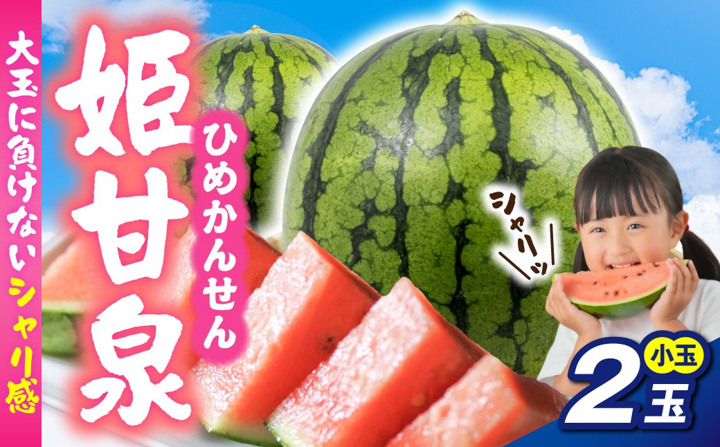 
                  【7月下旬以降順次発送】 すいか ２玉 小玉 姫甘泉 【先行予約】 １玉あたり約2~3kg  青森県 五所川原市 フルーツ 果物 スイカ 西瓜 ひめかんせん
                