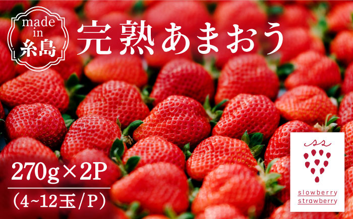
                  【先行受付】完熟あまおう 270g × 2パック【2027年1月以降順次発送】 糸島市 / slowberry strawberry [APJ002] 苺 あまおう イチゴ
                