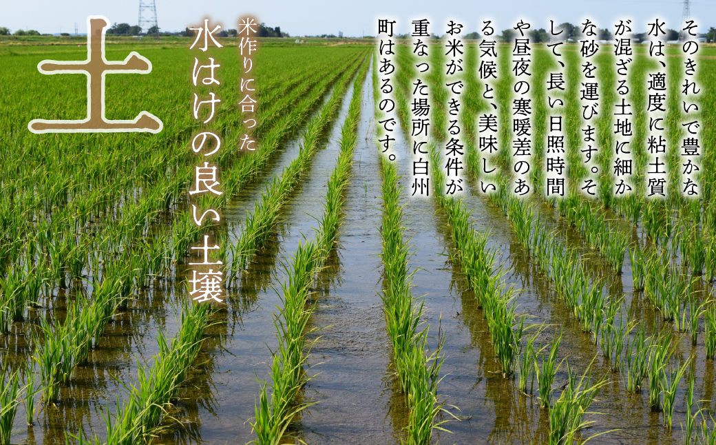 【令和6年産新米】山梨ふるさと米（無洗米）6kgセット FCW001