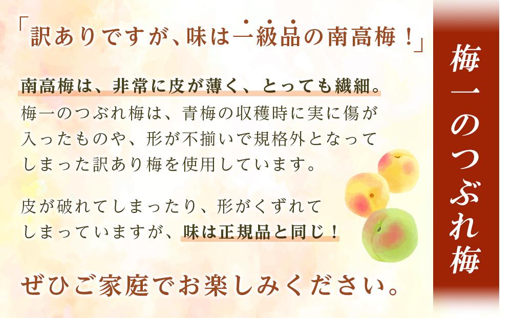 紀州南高梅《つぶれ梅セット》しそ漬け梅 塩分3%(2.4kg)【白浜グルメ市場】