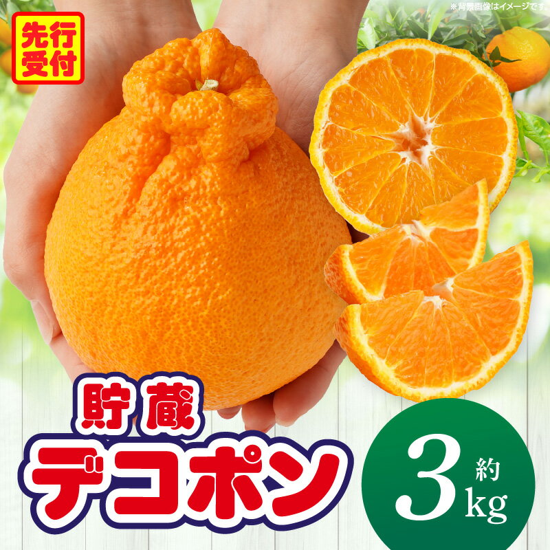 【ふるさと納税】貯蔵デコポン約3kg(8～16玉)【香川県共通返礼品】デコポン 甘い 酸味 柑橘 柑橘系 果物 フルーツ デザート おすすめ 贈答 贈り物 贈答用 ギフト 特産品 特産 取り寄せ 香川県 三木町