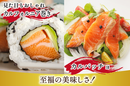 訳あり トロサーモン 切り落とし 1kg (125g×8p)  個包装  魚介類 魚 サーモン 海鮮 鮭 トロ お刺し身 刺し身 刺身 アトランティックサーモン 冷凍 訳アリ