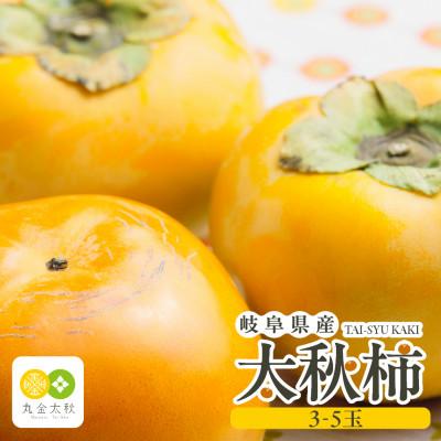 ふるさと納税 本巣市 《黄色くても食べ頃!》丸金太秋1kg(3〜5個入り)【一口噛めば果汁がしたたるジューシーな甘柿!】