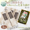 【ふるさと納税】新庄の田舎そば5人前・天然わらびのたまり漬けセット 乾麺 蕎麦 山菜 ざるそば ソバ 乾めん 麺類 年越し 小分け わらび 蕨 野菜 東北 F3S-1588