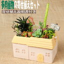 【ふるさと納税】多肉植物の寄せ植えセット（メゾンレクトポット）長屋根（鉢色：ピンク、イエロー、グリーン）寄せ植え説明書付 キット 初心者 おすすめ 多肉植物 寄せ植え アソート sh012