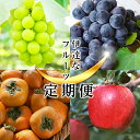 【ふるさと納税】＜2025年秋から開始の定期便＞伊達なフルーツ定期便（ぶどう2種・かき・りんご5kg）果物 フルーツ 葡萄 ブドウ 柿 カキ 林檎 リンゴ 福島県 伊達市 F20C-483