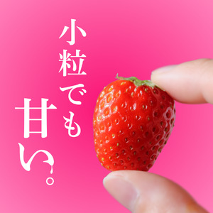 いちご【2027年発送】加工用いちご 1.7kg