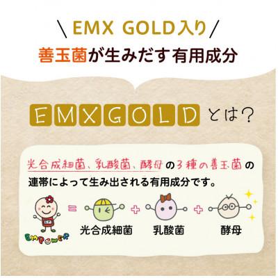 ふるさと納税 羽島市 美里のおいしいごはん(コシヒカリ100%使用)　200g入×30個　防腐剤不使用　パックご飯 |  | 03