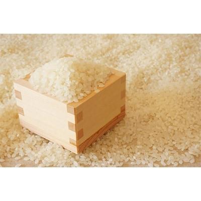ふるさと納税 大川市 福岡県産ブランド米「夢つくし」白米　5kg(大川市) |  | 01