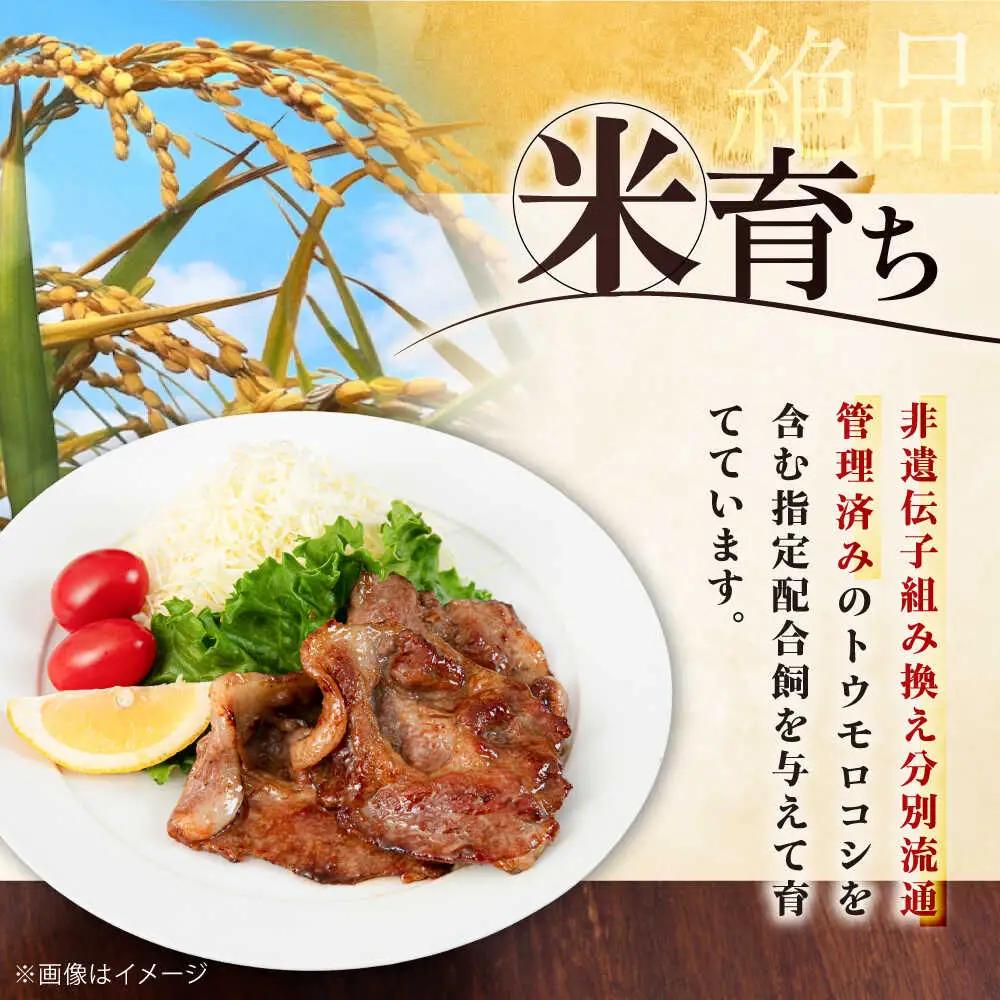 【全6回定期便】平田牧場 肩ロース しょうが焼き用 400g (200g×2P) 豚肉 スライス [AJAP137]