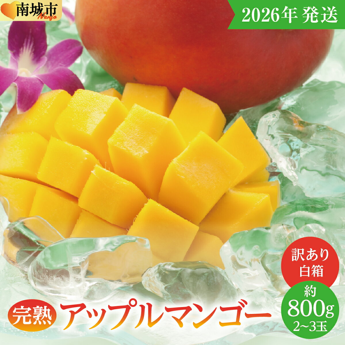 【ふるさと納税】【2026年発送】＜訳あり・ご家庭用＞完熟アップルマンゴー約800g（白箱）2玉～3玉
