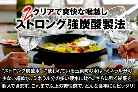 2か月定期便★強炭酸水2箱（計2回お届け 合計2ケース: 500ml×48本）強炭酸水《お申込み月の翌月から出荷開始》熊本県玉東町産の水を使用! クリアで爽快な喉越し！くまもと風土の強炭酸水★ストロン