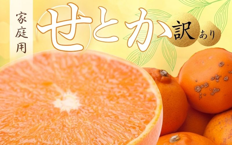 
＜2月より発送＞家庭用 せとか5kg+150g（傷み補償分）【柑橘・春みかんの王様】【わけあり・訳あり】【光センサー選果・食べ頃出荷】【ikd206】
