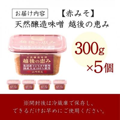 ふるさと納税 小千谷市 山崎醸造 みそ 天然醸造味噌 越後の恵み 300g×5個 国産大豆100% 新潟県 小千谷市 |  | 03