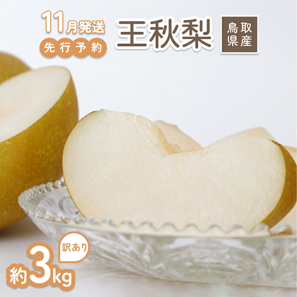 【ふるさと納税】【2026年 先行予約】訳あり 王秋梨 3kg｜鳥取 山根農園 梨 2026年収穫後 11月頃～【41065】