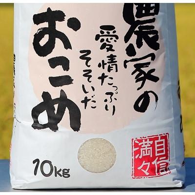 ふるさと納税 売木村 【令和7年産】うるぎ米 10kg |  | 01