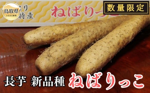 ねばりっこ【数量限定】_T2600192