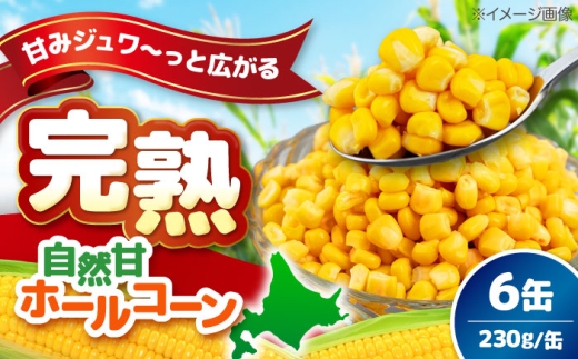＼リピーター続出！／ 自然甘ホールコーン 6缶（C7号缶）《喜茂別町》【きもべつ観光協会】 コーン コーン缶 とうもろこし トウモロコシ 北海道 常温 常温配送 [AJAG020] 5000 5000円
