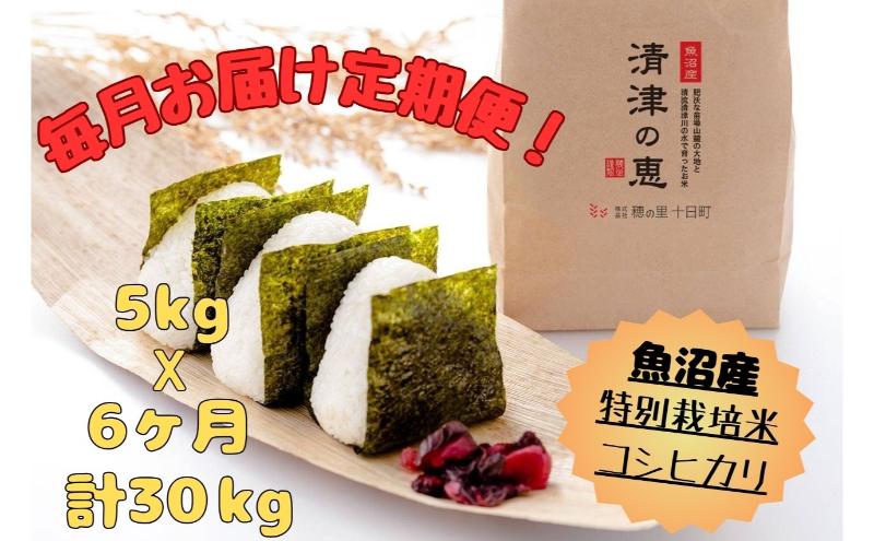 【通年受付】魚沼産特別栽培米コシヒカリ［清津の恵］精米5kg　全6回 十日町市 十日町 米