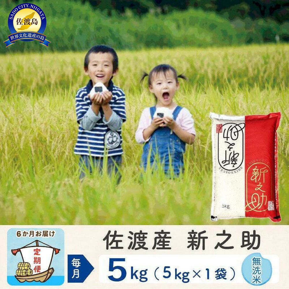 【ふるさと納税】【新米予約 6か月定期便】佐渡島産 新之助 無洗米5Kg 令和7年 | お米 こめ 白米 食品 人気 おすすめ 送料無料