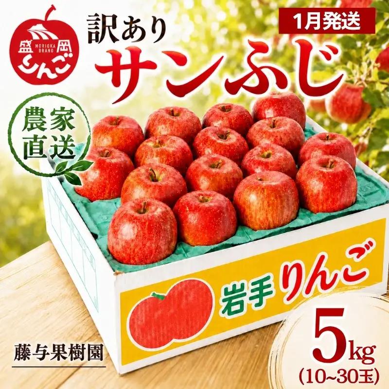 【1月発送】訳ありサンふじ5kg りんご 藤与果樹園 サンふじ fujiyo002s