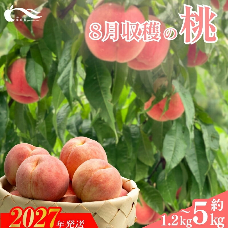 【ふるさと納税】あづま果樹園　もも　8月収穫の桃　品種おまかせ　選べる　容量　約1.2kg 約2kg 約3kg 約5kg 奥あかつき あかつき まどか 川中島白桃 ゆうぞら 紅錦香 紅川中島 夏の陽 黄金桃 一万円【2027年発送】