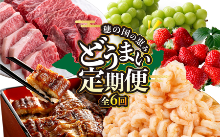 豊橋 どうまい 定期便 全6回 いちご / むき えび / うなぎ / シャインマスカット / 味付け肉 / 和牛 牛肉 定期 高評価 お楽しみ ぶどう フルーツ 鰻 苺 むきえび 冷凍 訳あり 海鮮 半年 6回 期間限定 数量限定 定期便 定期便 6ヵ月