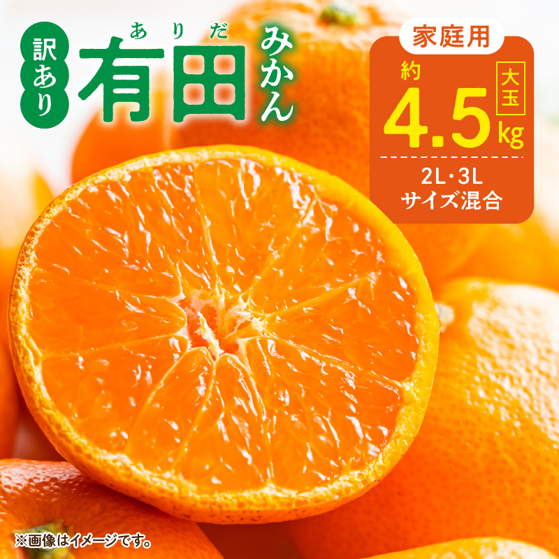 DZ6218_【2026年先行予約】ご家庭用 有田みかん 和歌山 大玉(2L,3Lサイズ混合) 約4.5kg