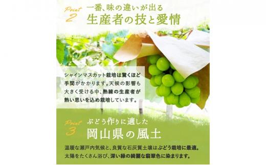ぶどう 2026年  シャイン マスカット 晴王 1房 700g前後 ブドウ 葡萄 岡山県産 国産 フルーツ 果物 ギフト