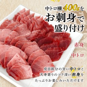 訳あり 天然 南鮪 中トロ 約400g 訳あり OR FN-SupportProject OR 増量 OR 年末企画 訳あり (a10-859)