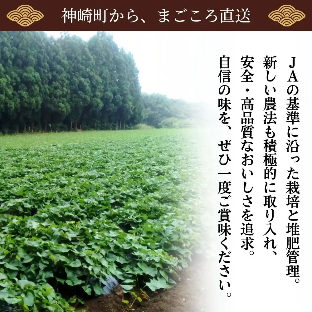 神崎町産 べにはるか さつまいも 5kg【土付き・M～Sサイズ混合】(3月～12月受付分は1月中旬～3月中旬発送)｜さつま芋 焼き芋 焼きいも イモ 芋 紅はるか 訳アリ しっとり 濃厚 蜜 スイート