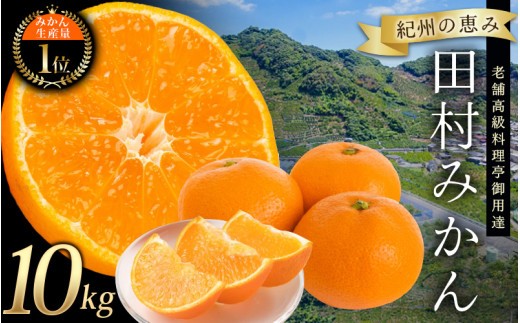 
                  高級ブランド 田村みかん 10kg【予約】※2025年11月下旬頃～2026年1月下旬頃に順次発送予定(お届け日指定不可)/みかん ミカン 有田みかん ブランドみかん 柑橘 果物 フルーツ 旬 先行 予約【uot505B】
                
