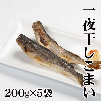 ふるさと納税 根室市 【北海道根室産】一夜干しこまい200g×5袋 A-30012