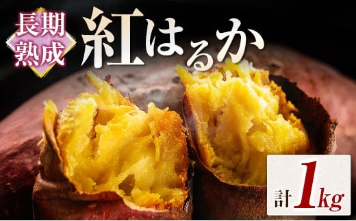 長期熟成 紅はるか 計1kg 宮崎県都城市産 さつまいも サツマイモ