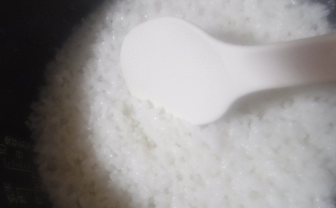 お米5kgと季節のお野菜セット