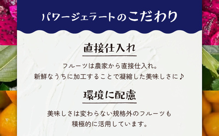 POWER GELATO 沖永良部島産（ 塩ちんすこうバニラ ）90ml × 5個入り W066-004-01 ジェラート パワージェラート デザート 氷菓子 菓子 手作り CAFE Typhoon 