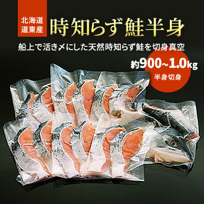 北海道道東産　活き〆時知らず鮭半身切身(小)約900g-1kg【配送不可地域：離島】
