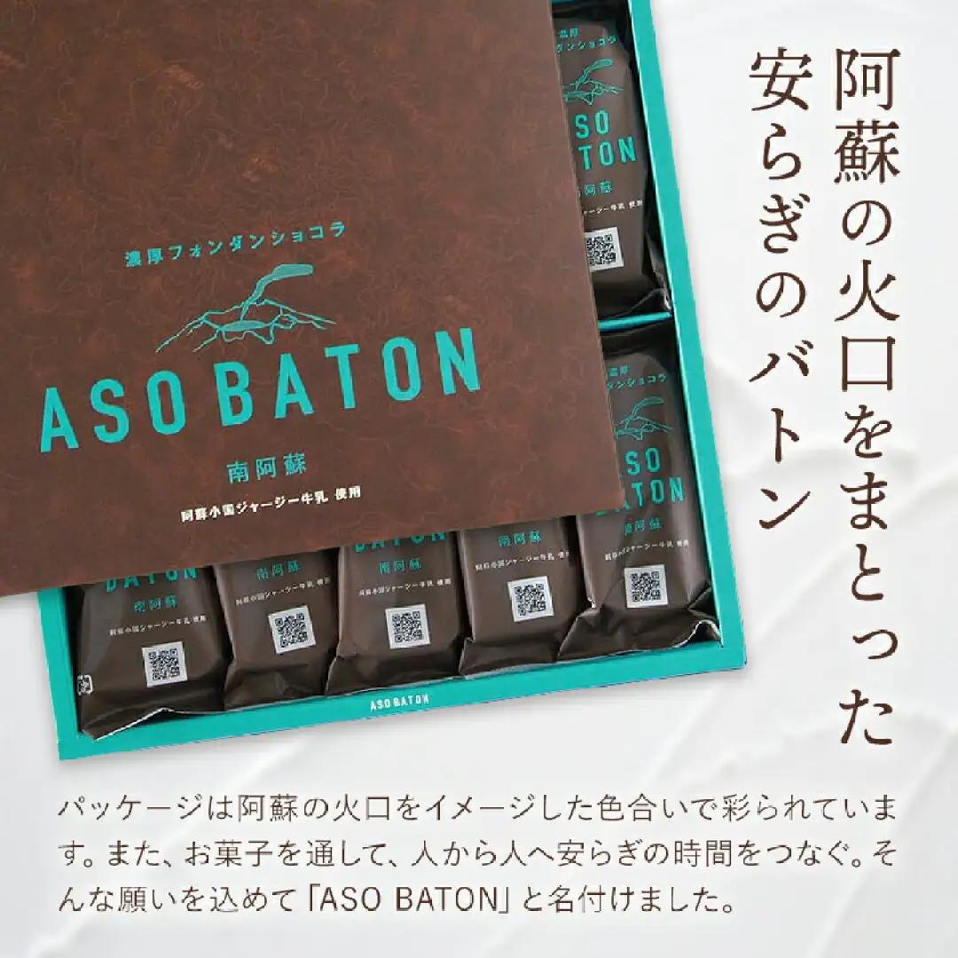濃厚 フォンダンショコラ ASO BATON 10個 古今堂《30日以内に出荷予定(土日祝除く)》 熊本県 南阿蘇村 チョコ チョコレート ショコラ 熊本 土産 お茶菓子 デザート お菓子 スイーツ