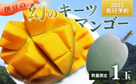 先行予約！！8月発送 大きな緑色のマンゴー（キーツ）1個 希少 