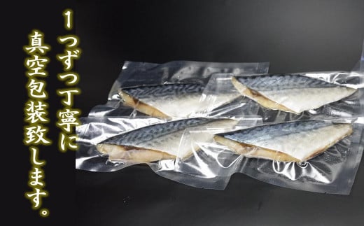 【定期便】塩サバ 切り身 16切　計 9回 発送