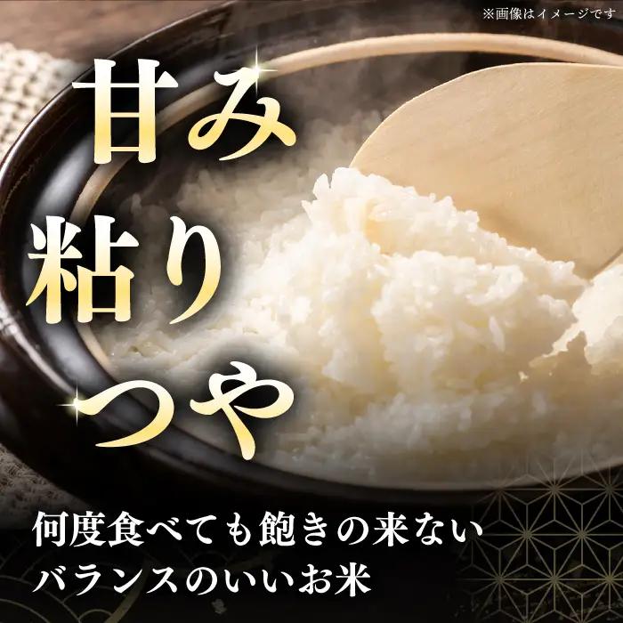 令和7年産 令和8年産 【全12回定期便】【無洗米】さくら米（ななつぼし）5kg 1年 12ヵ月 お米 無洗米 白米 ななつぼし 北海道 [AXAB010]