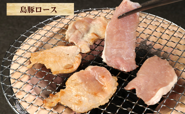 徳之島産 徳之島愛情たっぷり 島豚Bセット【島豚ロース 1.2kg・あんばかしぃ（油かす）750g】計1.95kg 鹿児島県 徳之島 AE-16-N