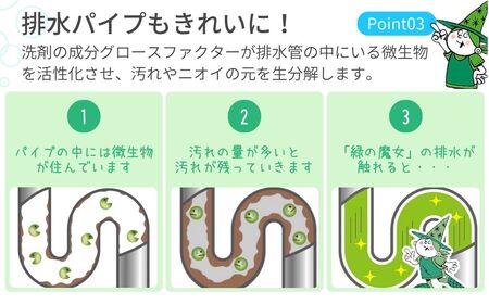 部分洗い洗剤　無香料　緑の魔女エリソデプレウォッシュ　280mL×24 | 洗剤 洗剤 洗剤 洗剤 洗剤