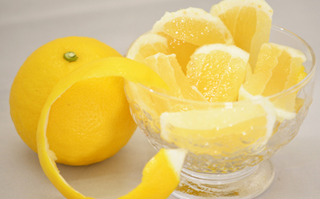 なるた果樹園季節のみかん定期便C（年3回お届けコース）