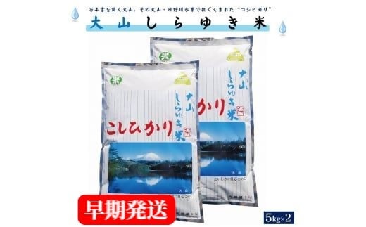 【３～７営業日以内に出荷】令和6年産 大山しらゆき米10kg（精白、コシヒカリ、5kg×2）